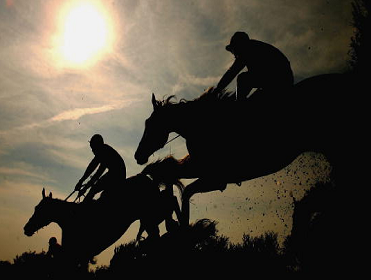 Timeform provide you with three bets from Wexford